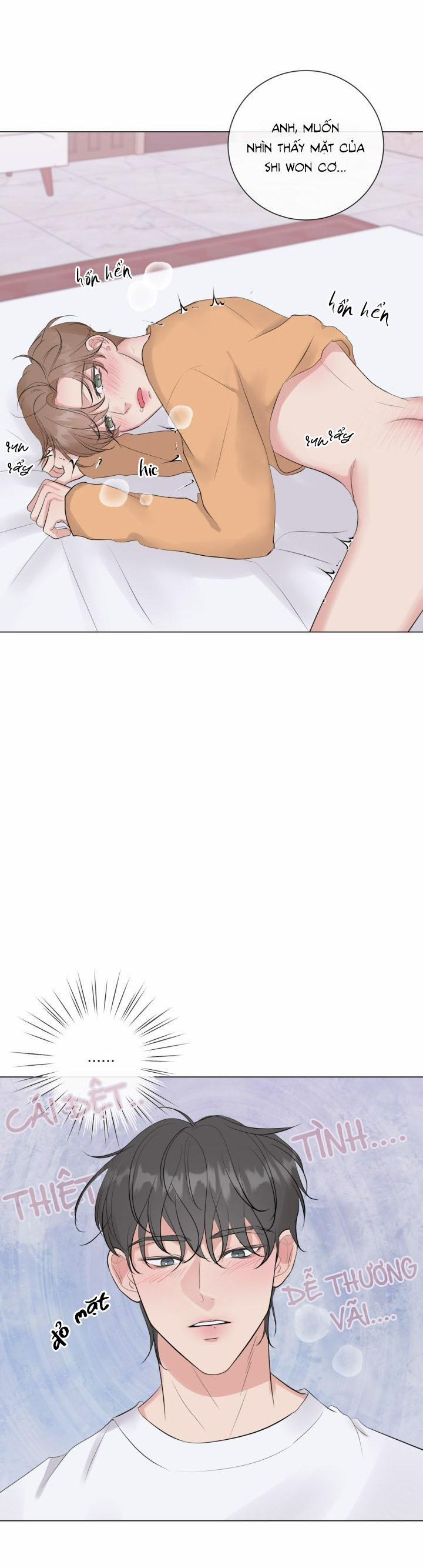 Người Yêu Hiếm Hoi 12 trang 21