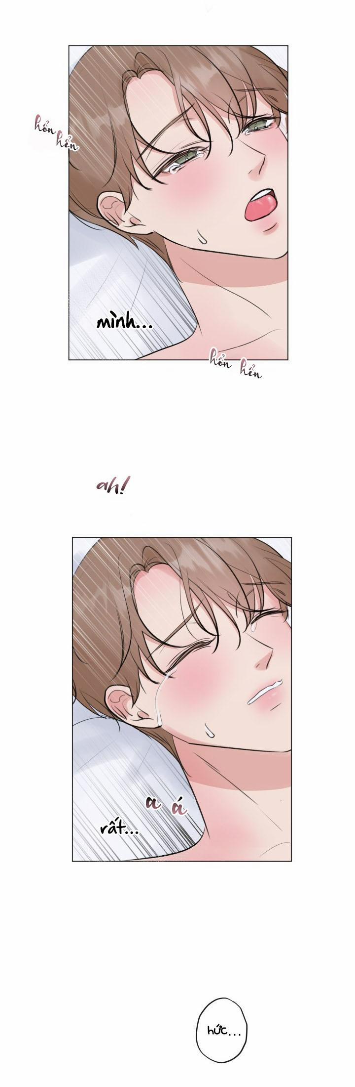 Người Yêu Hiếm Hoi 12 trang 27