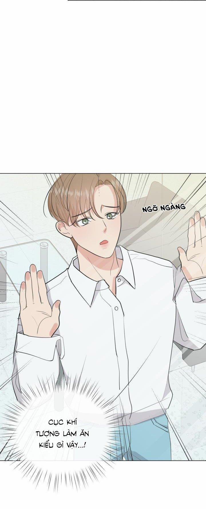 Người Yêu Hiếm Hoi 8 trang 48