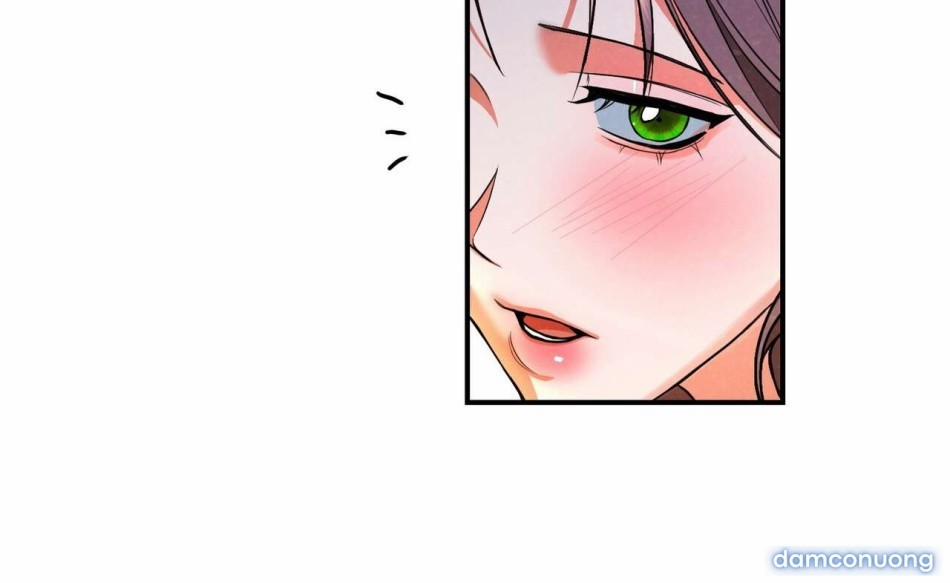 Ngưỡng Tuyệt Đối 81 trang 5