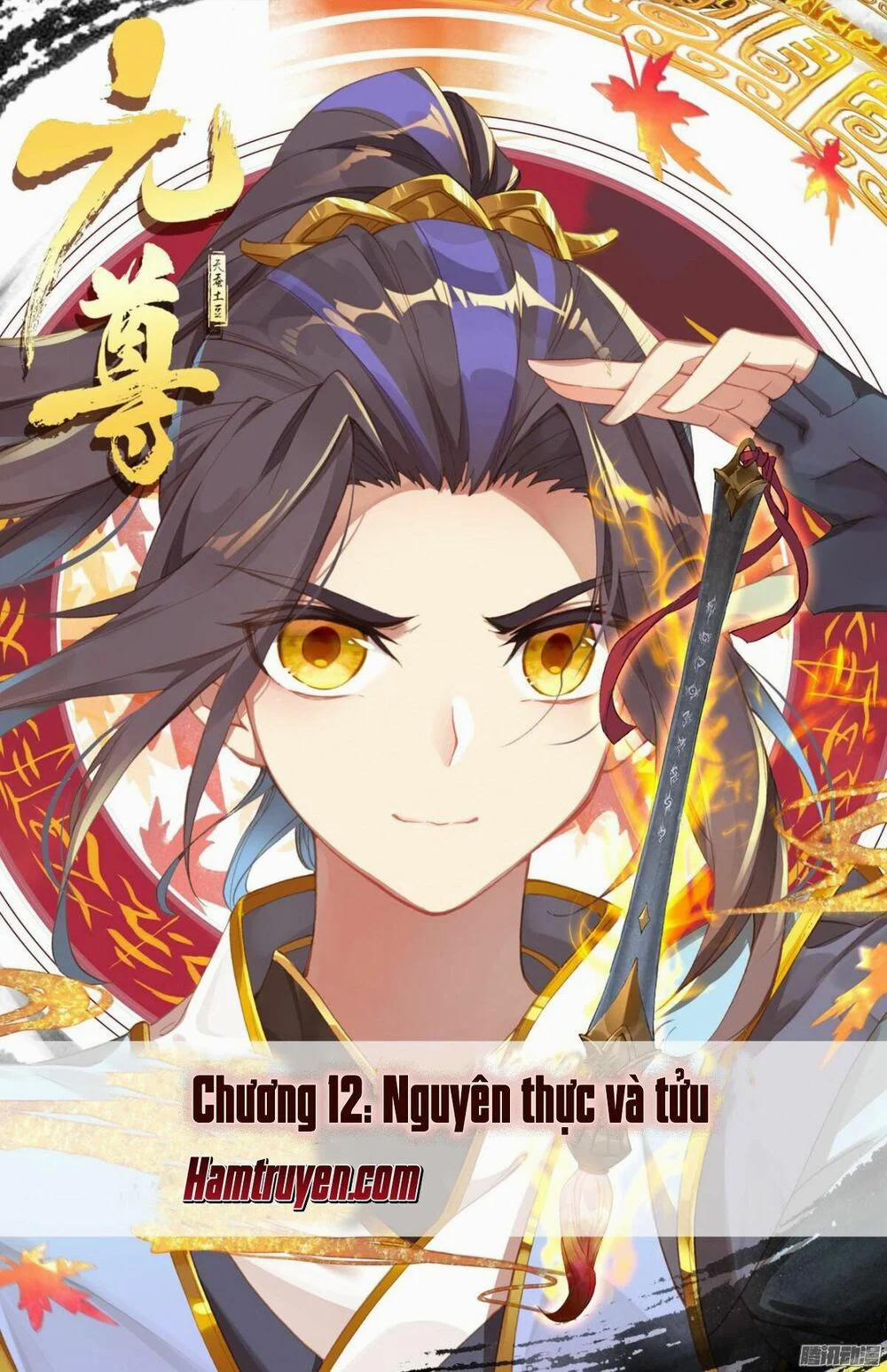 Nguyên Tôn 12 trang 0