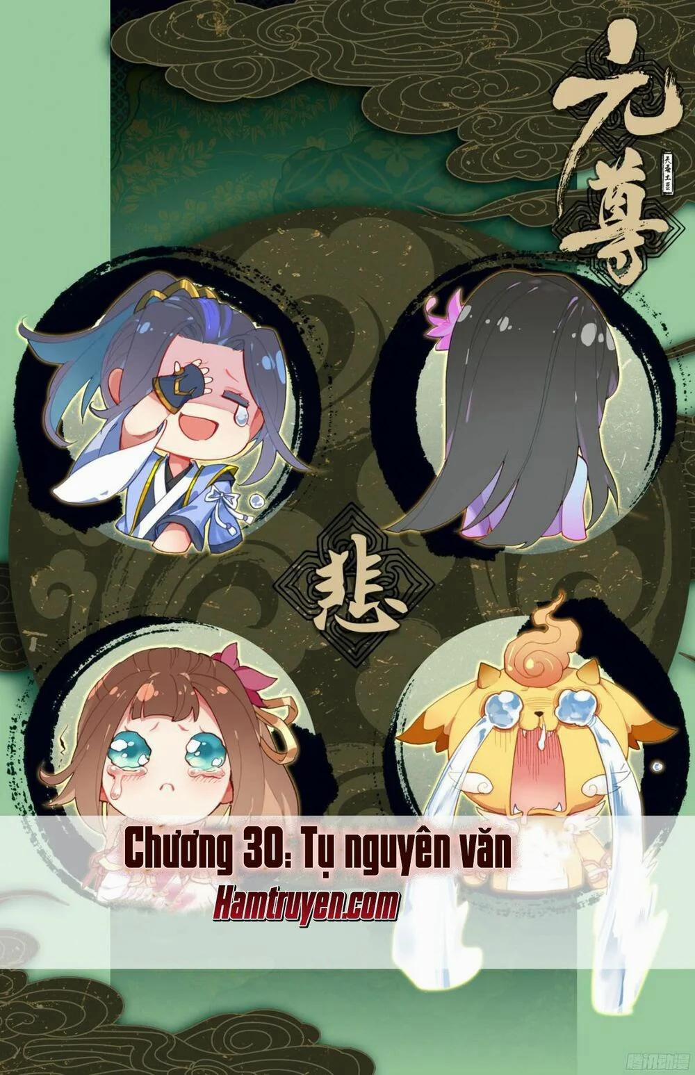 Nguyên Tôn 30 trang 0