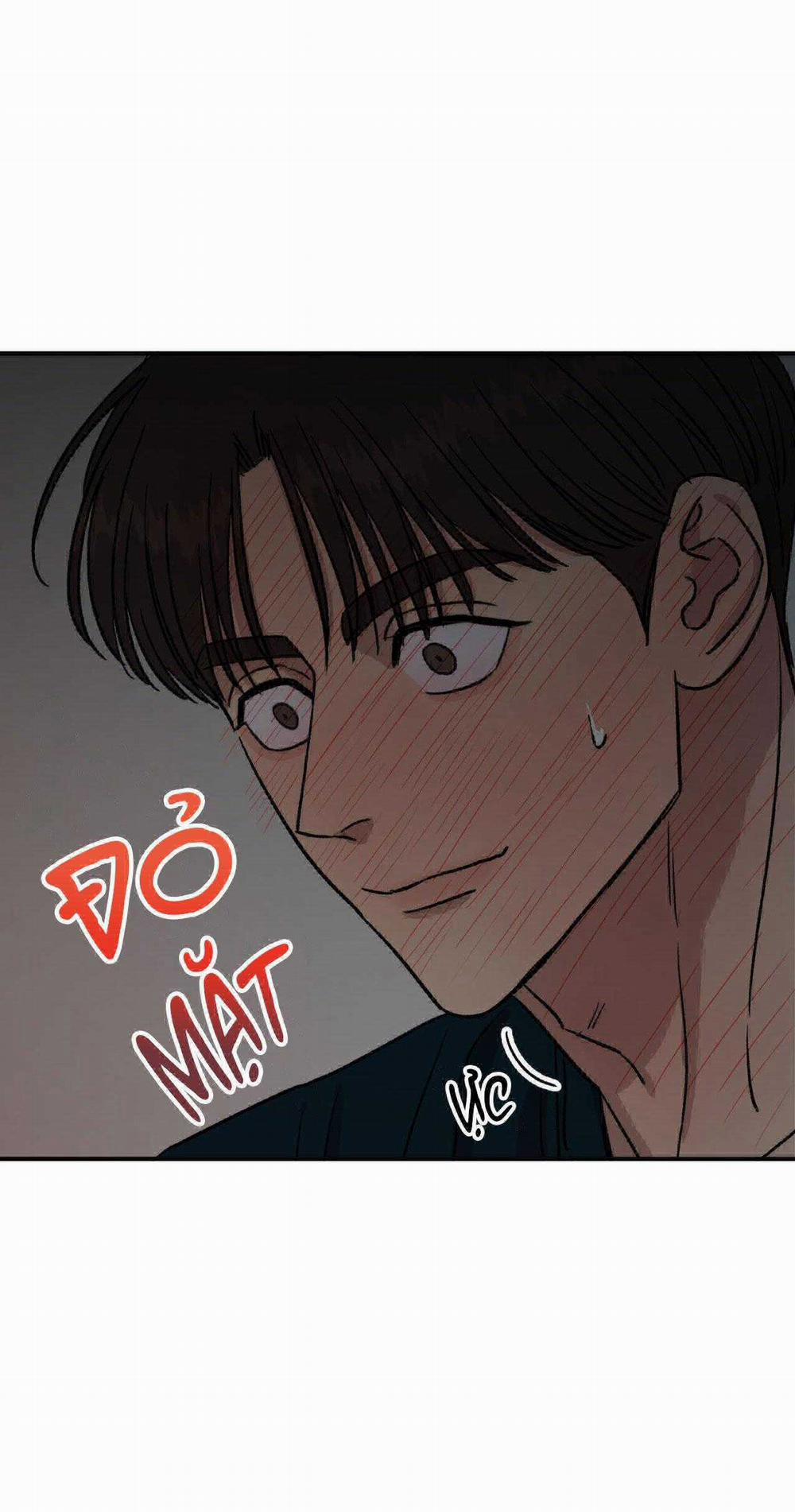 Nhà Của Chúng Ta 22 trang 48