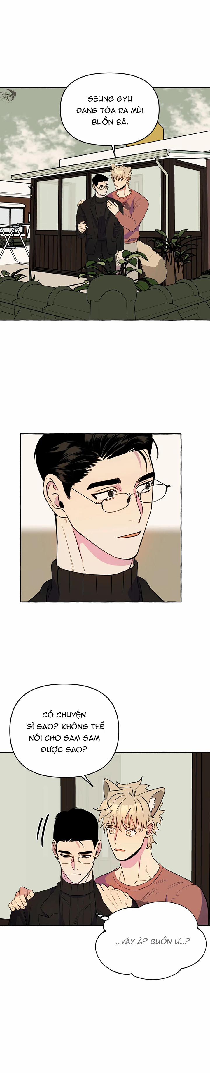 Nhà Của Sam Sam 11 trang 16