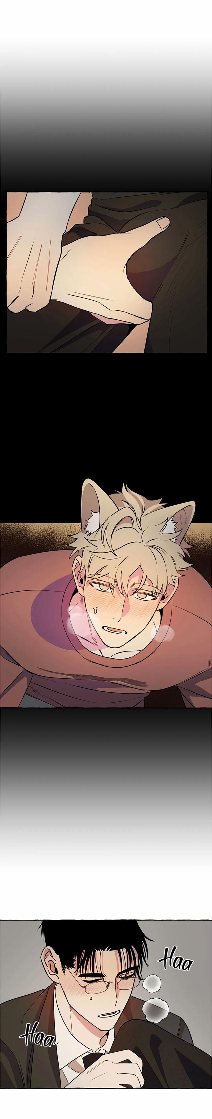 Nhà Của Sam Sam 17 trang 19