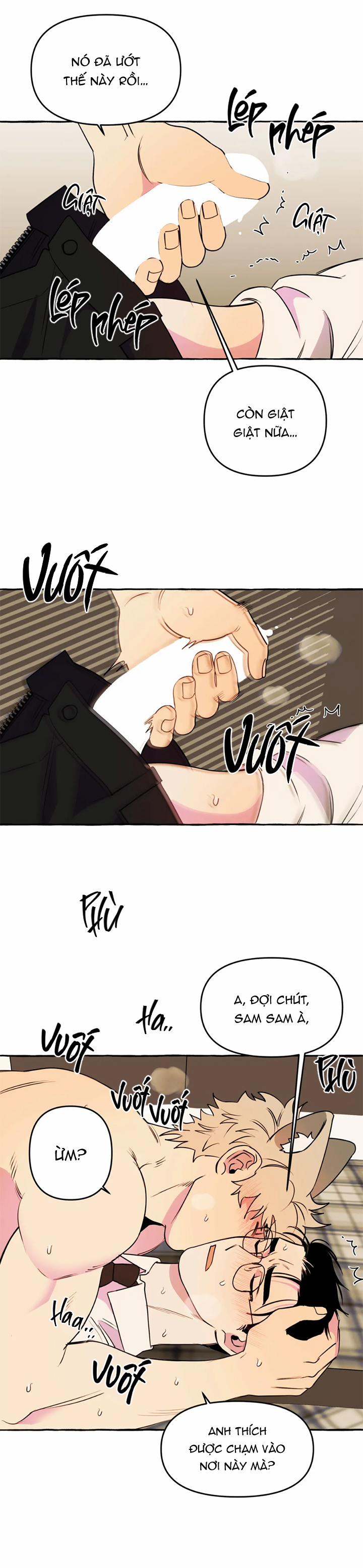 Nhà Của Sam Sam 19 trang 11