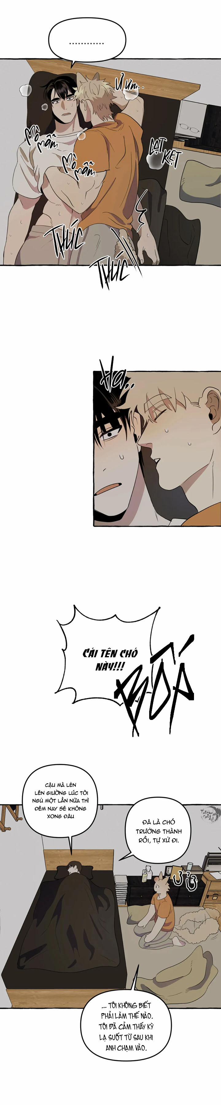 Nhà Của Sam Sam 2 trang 15