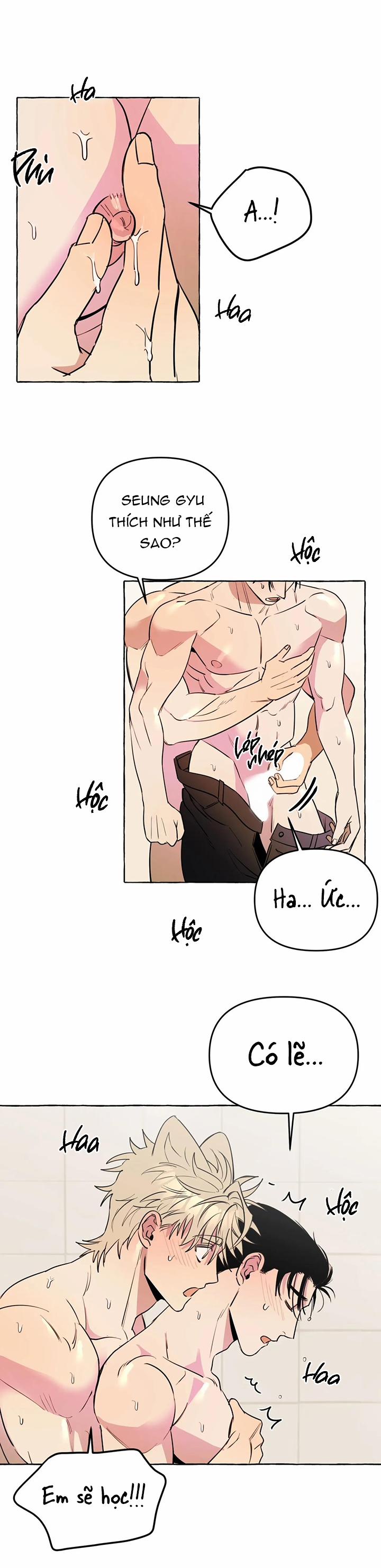 Nhà Của Sam Sam 24 trang 17