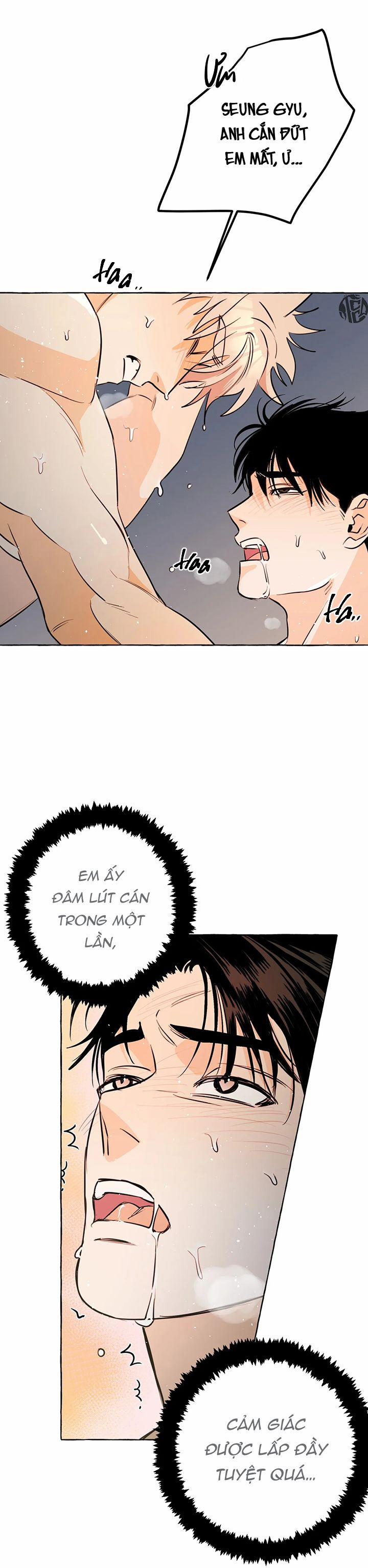 Nhà Của Sam Sam 32 trang 15