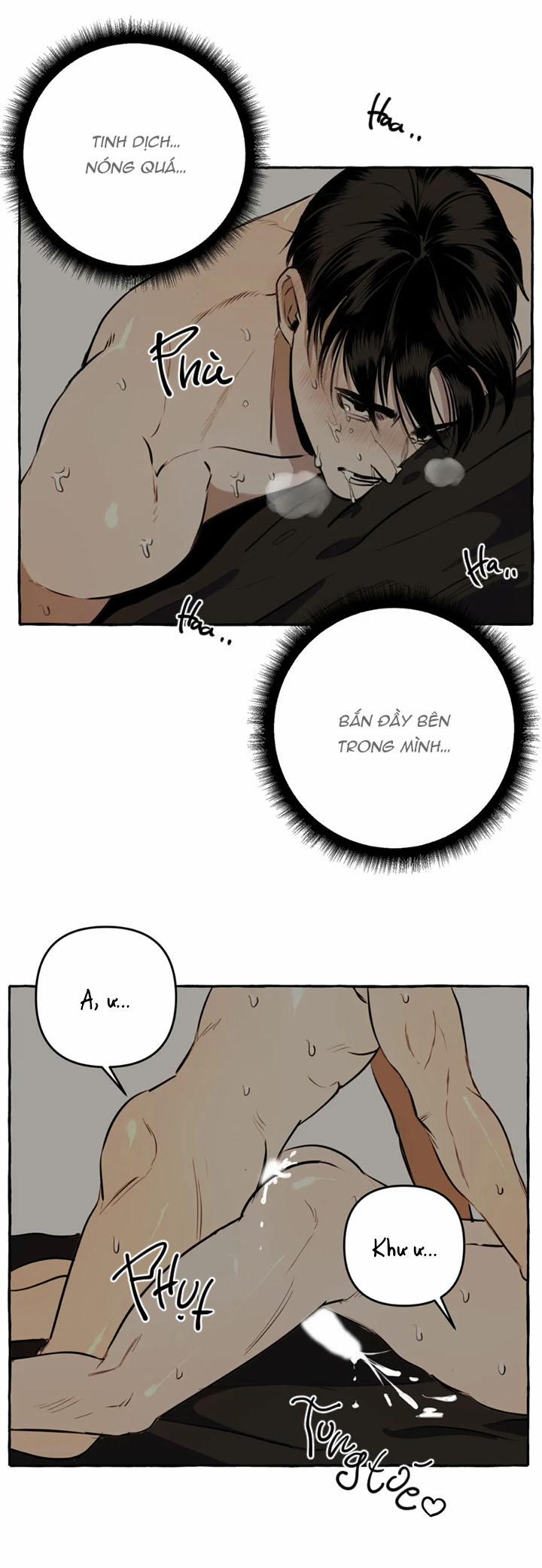 Nhà Của Sam Sam 5 trang 12