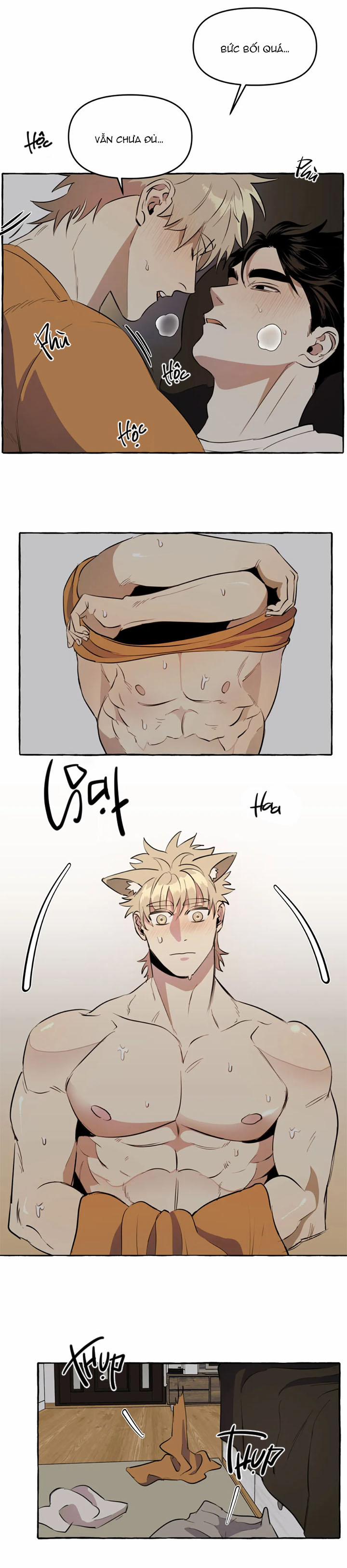 Nhà Của Sam Sam 5 trang 2