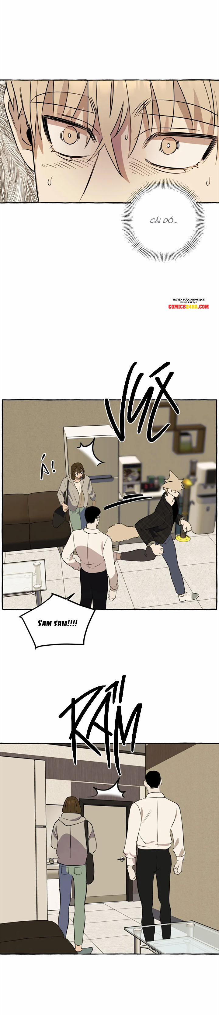 Nhà Của Sam Sam 7 trang 19