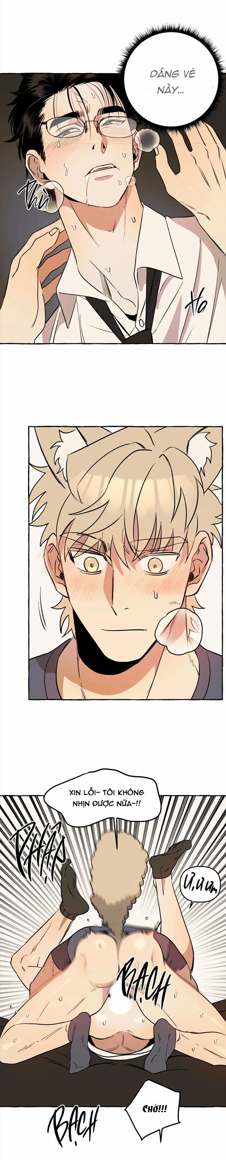 Nhà Của Sam Sam 9 trang 14