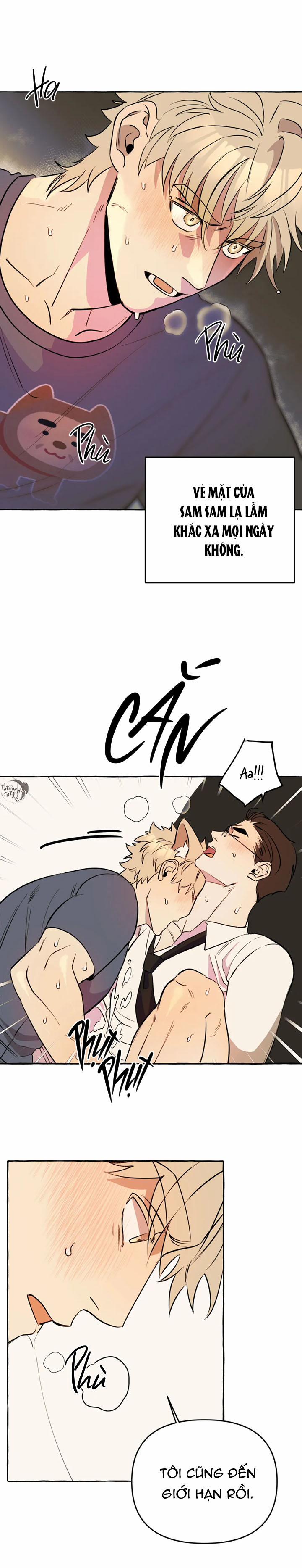 Nhà Của Sam Sam 9 trang 16