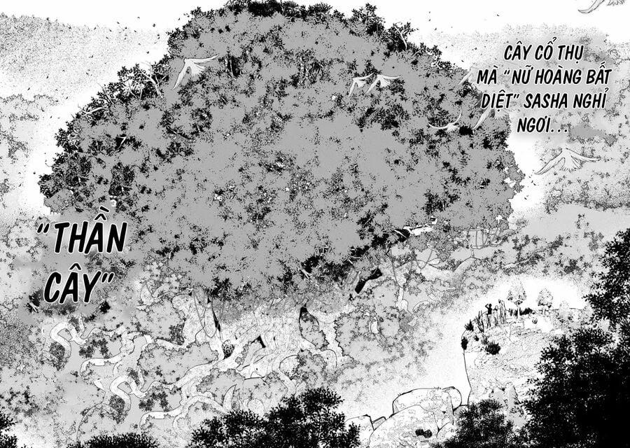 Nhà Hiền Triết Vô Song Chưa Thành Công Về Mặt Học Thuật ~ Một Phù Thủy S-Rank Gian Lận Sau Tái Sinh 62 trang 10