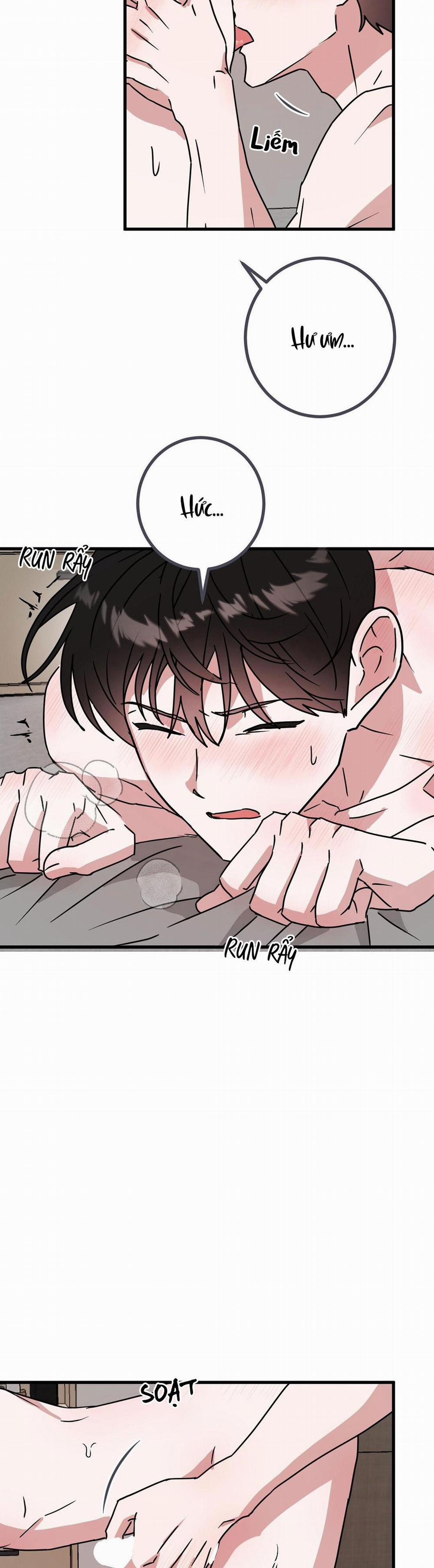 Nhà Tôi Thành Phim Trường Mất Rồi 47 trang 11