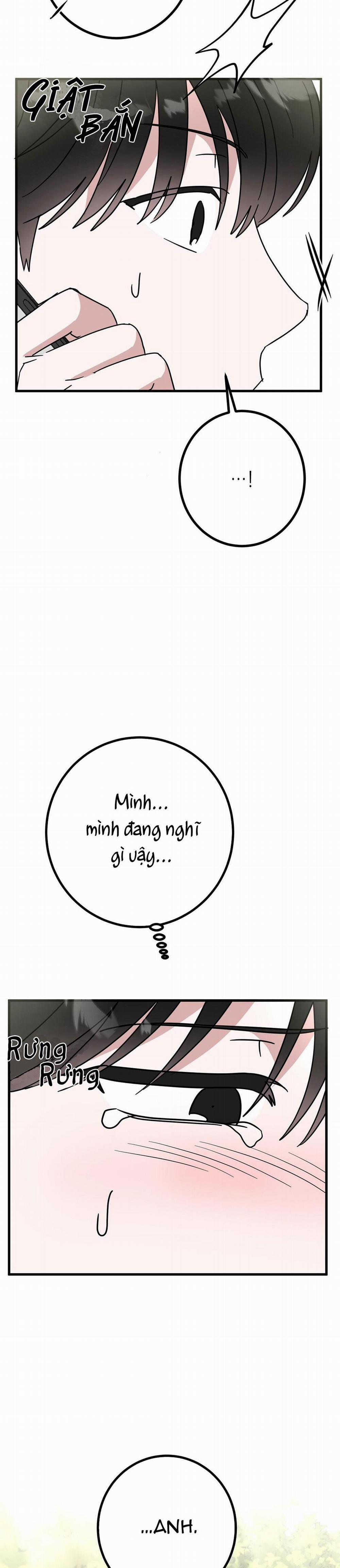 Nhà Tôi Thành Phim Trường Mất Rồi 56 trang 2