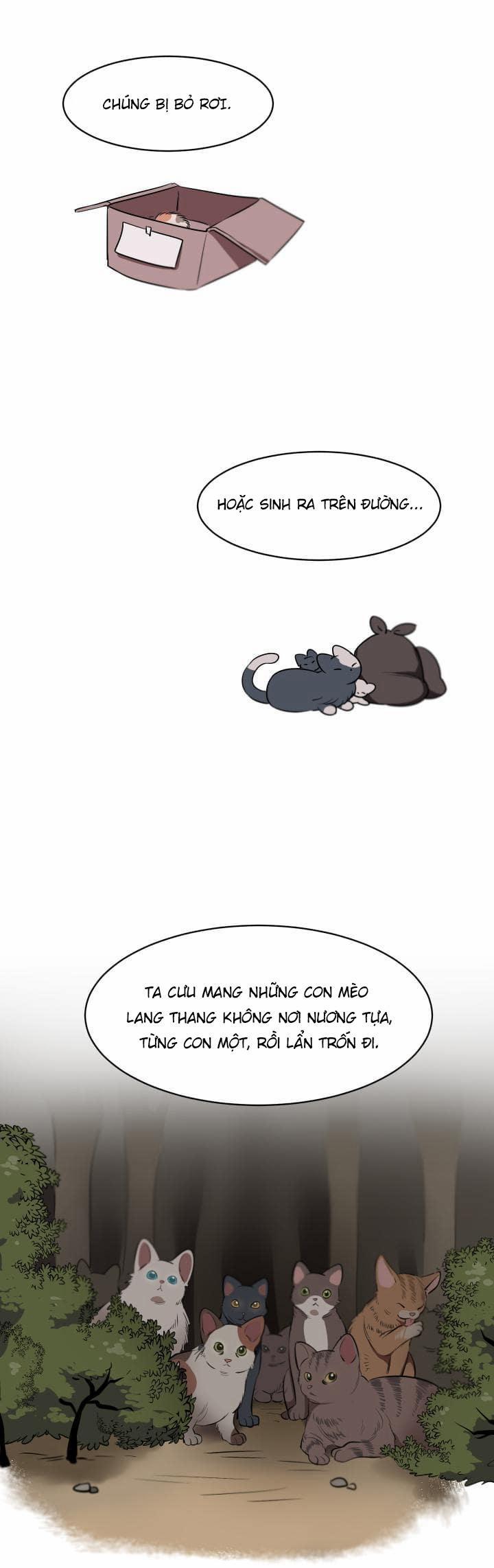 Nhận Lấy Tình Yêu 1 trang 13