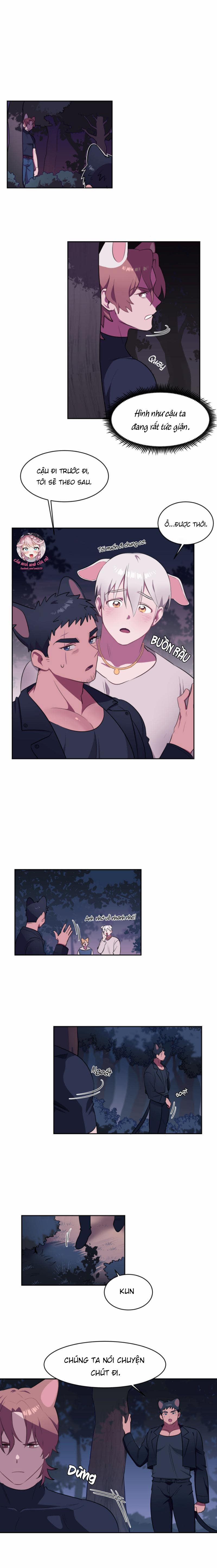 Nhận Lấy Tình Yêu 2 trang 11