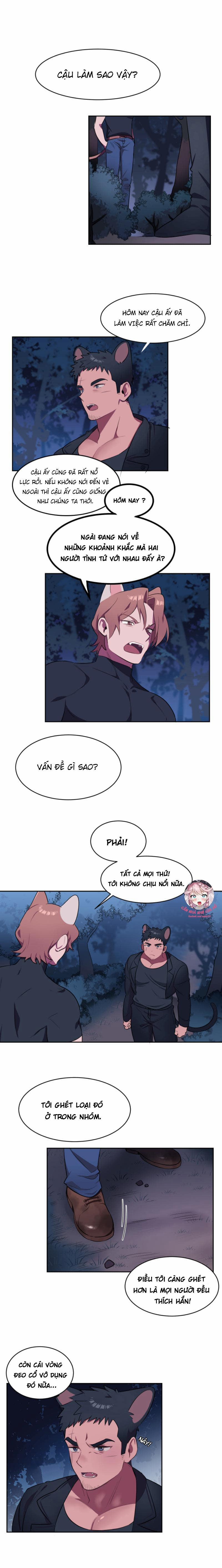 Nhận Lấy Tình Yêu 2 trang 12