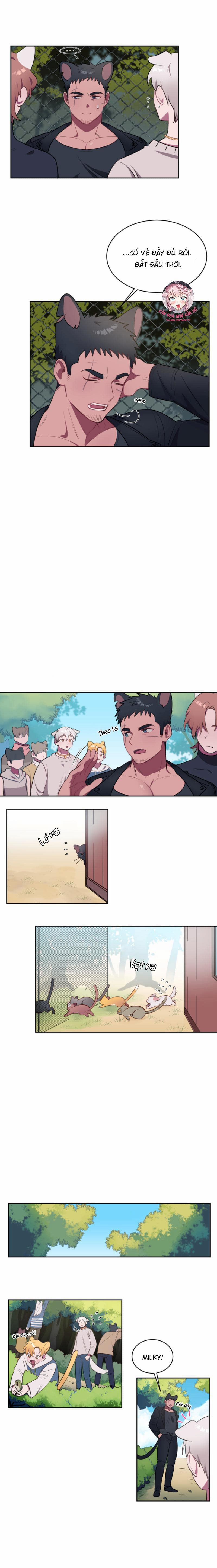 Nhận Lấy Tình Yêu 2 trang 4