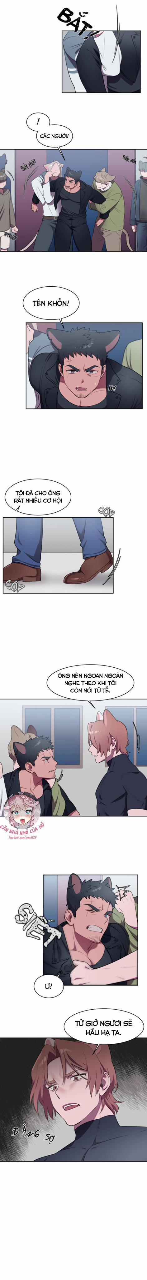 Nhận Lấy Tình Yêu 4 trang 5