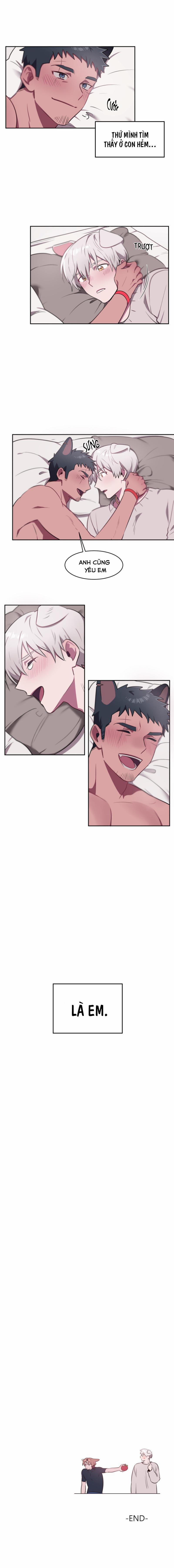 Nhận Lấy Tình Yêu 6 trang 13