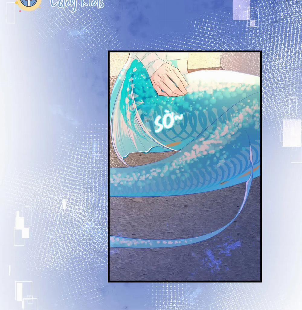 Nhân Ngư Hãm Lạc 8 trang 37