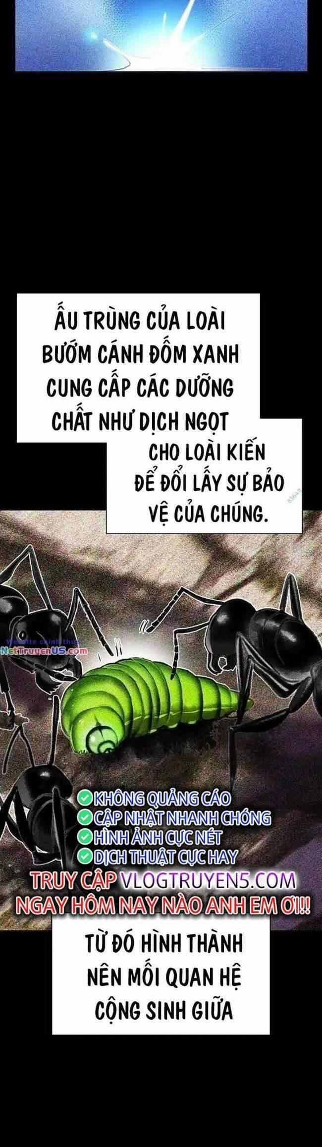 Nhân Trùng Đại Chiến 103 trang 21