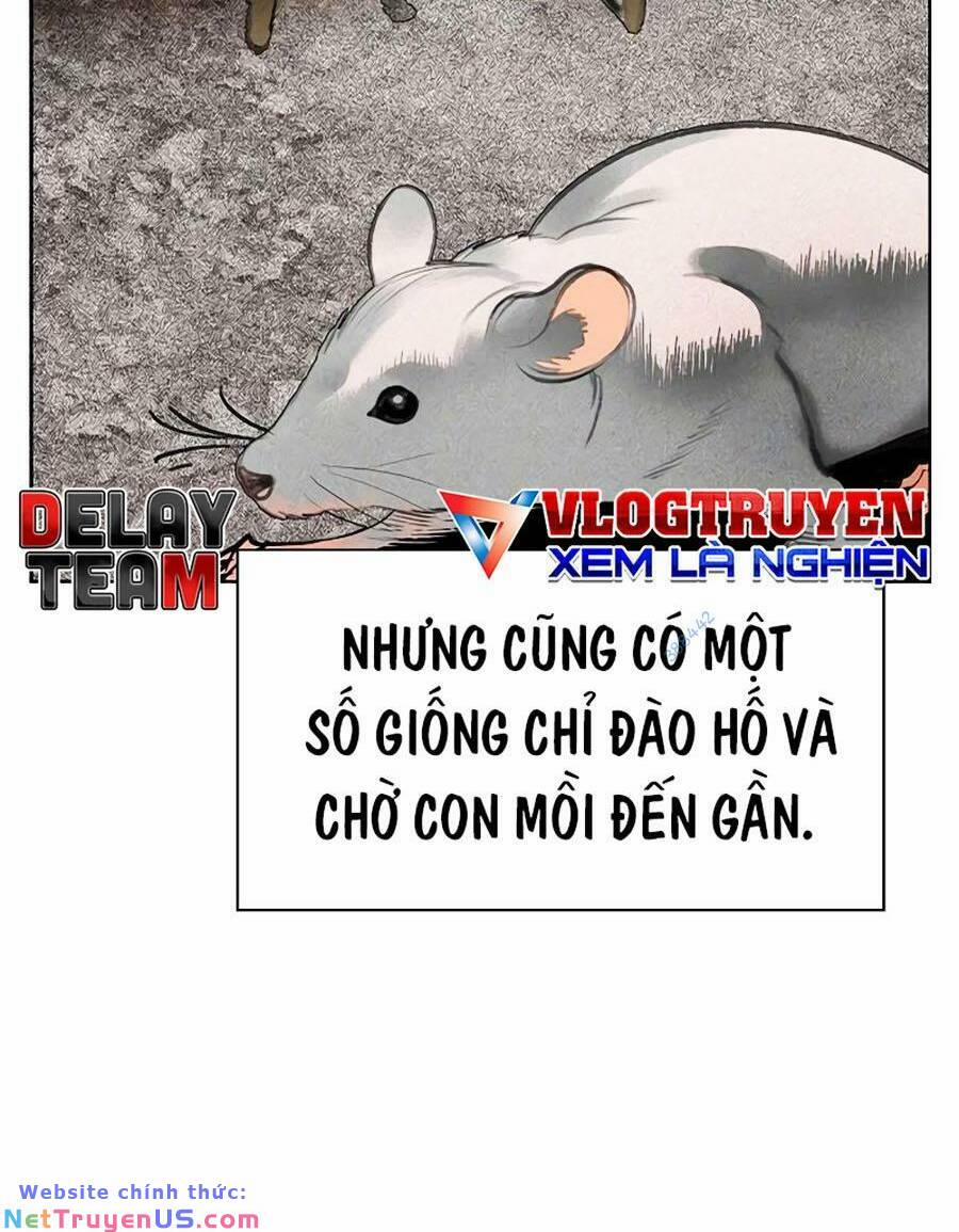 Nhân Trùng Đại Chiến 105 trang 61