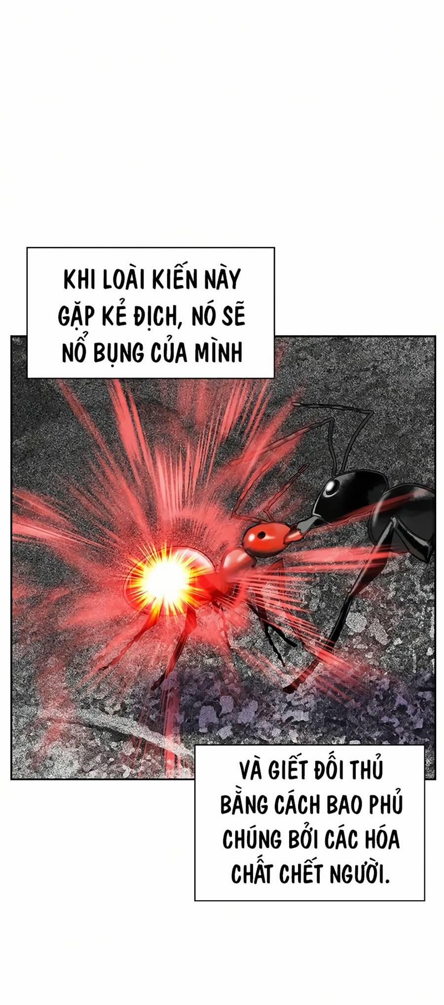 Nhân Trùng Đại Chiến 56 trang 17