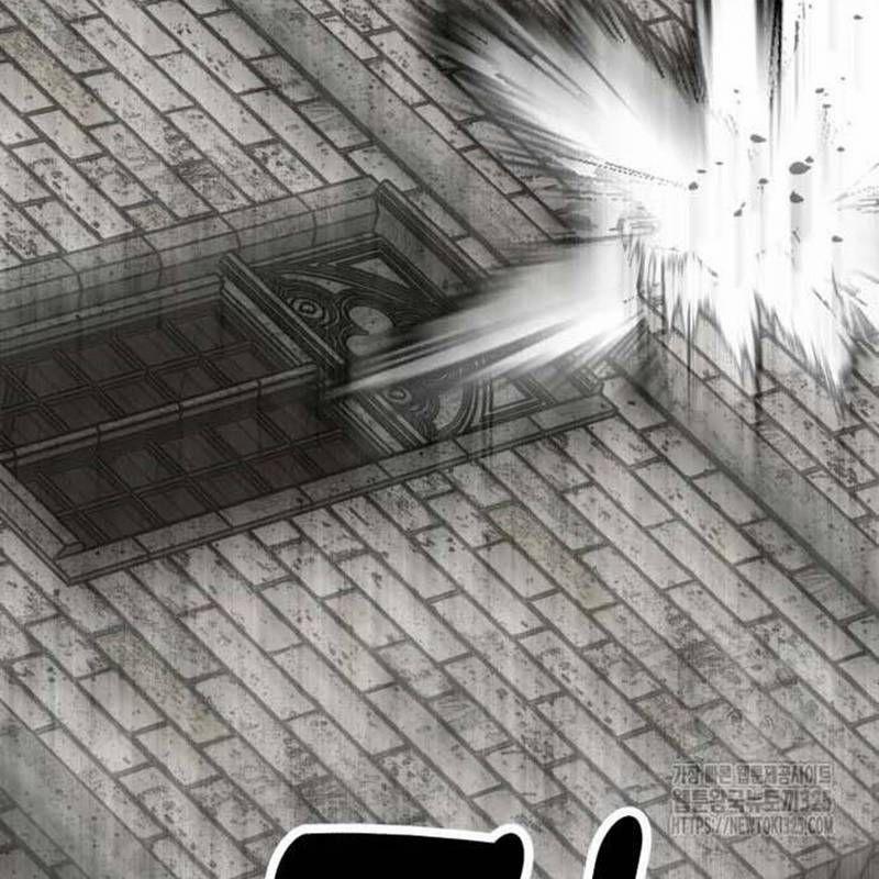 Nhân Vật Chính Ẩn Giấu Sức Mạnh 37 trang 28