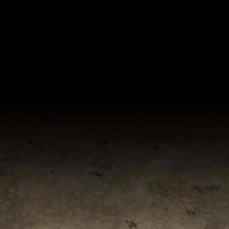 Nhân Vật Chính Ẩn Giấu Sức Mạnh 41 trang 33