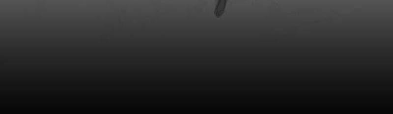 Nhân Vật Chính Ẩn Giấu Sức Mạnh 45 trang 39