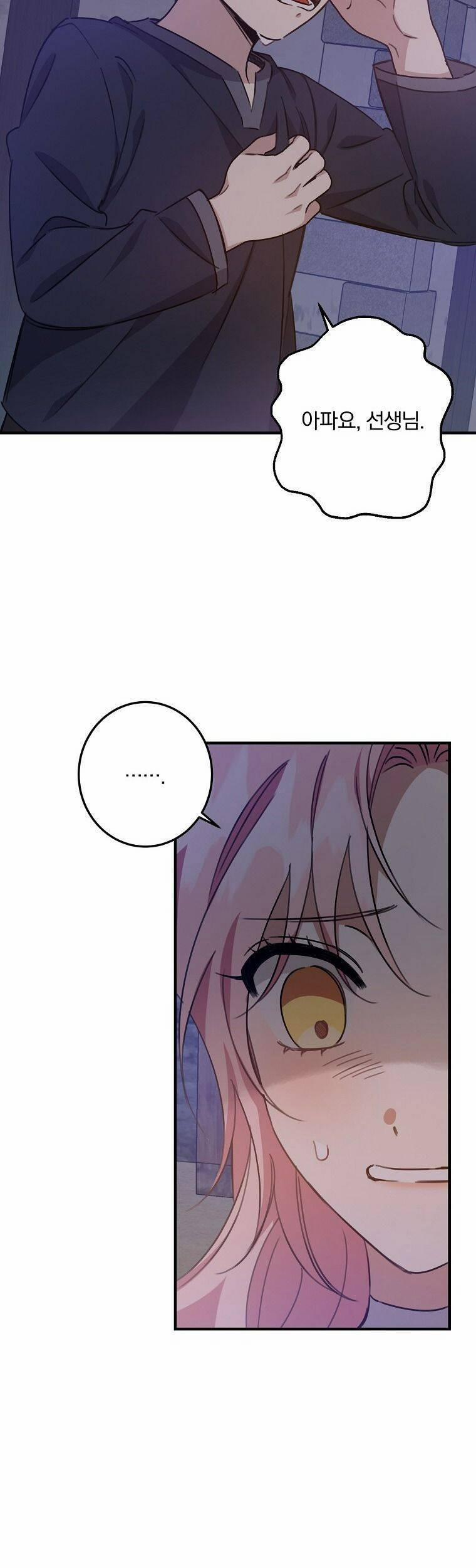 Nhân Vật Phản Diện Được Tôi Nuôi Dưỡng Tốt 17 trang 12