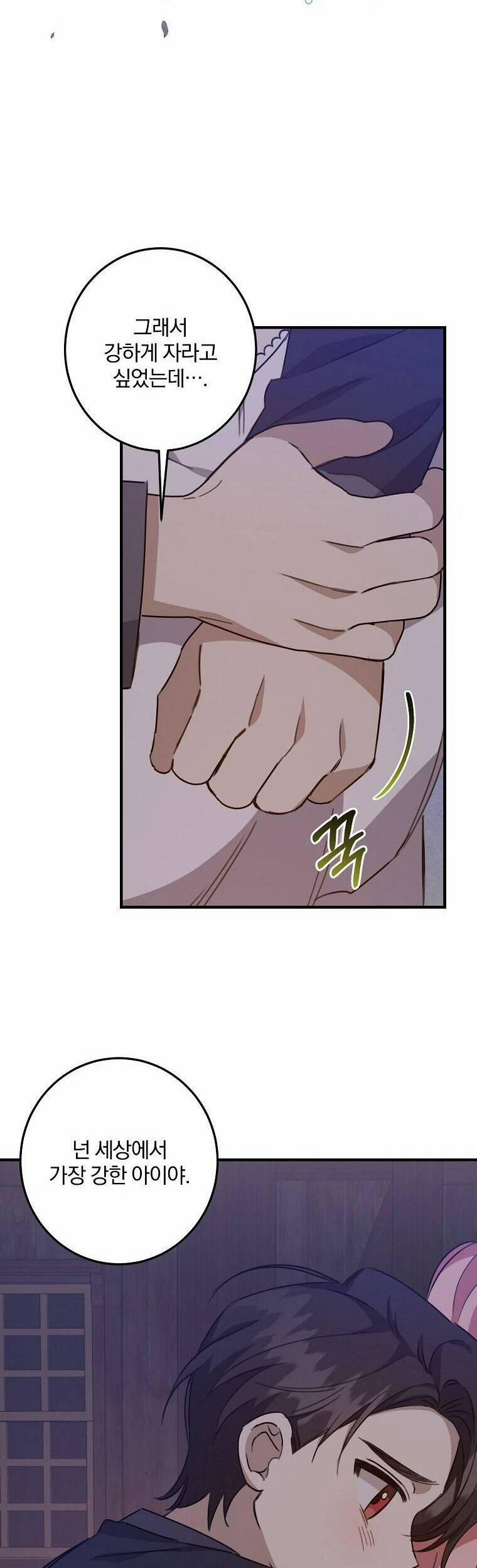 Nhân Vật Phản Diện Được Tôi Nuôi Dưỡng Tốt 17 trang 27