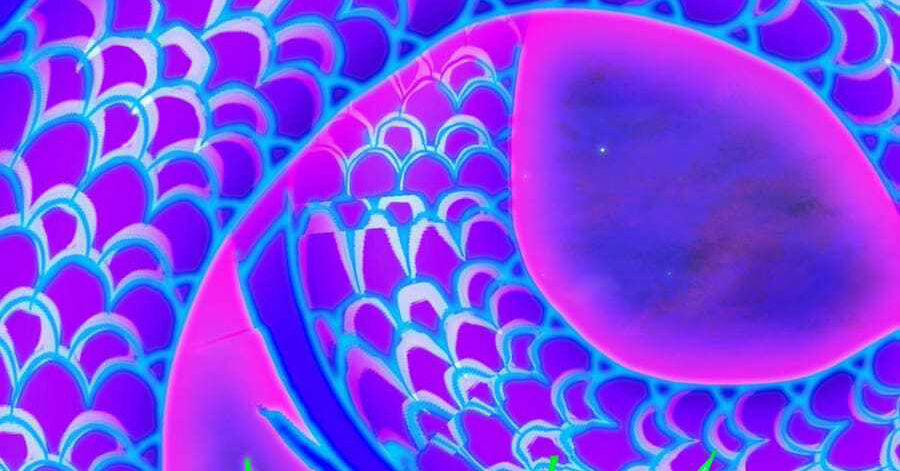 Nhập Hồn Ma Đạo Tổ Sư 32 trang 11