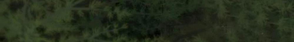 Nhất Hốt Đao 41 trang 17