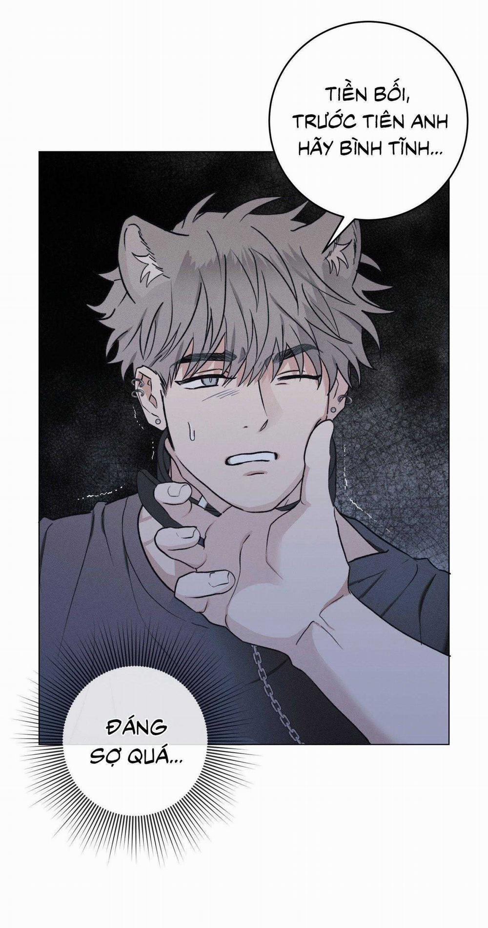 Nhật Ký Nuôi Dưỡng Sói Hoang 9 trang 19