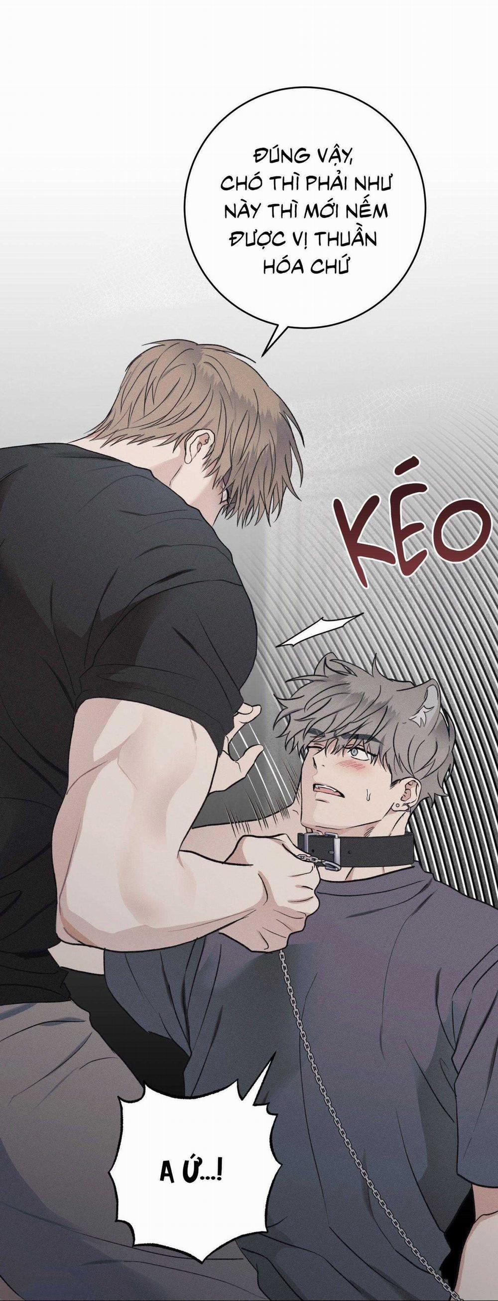 Nhật Ký Nuôi Dưỡng Sói Hoang 9 trang 38