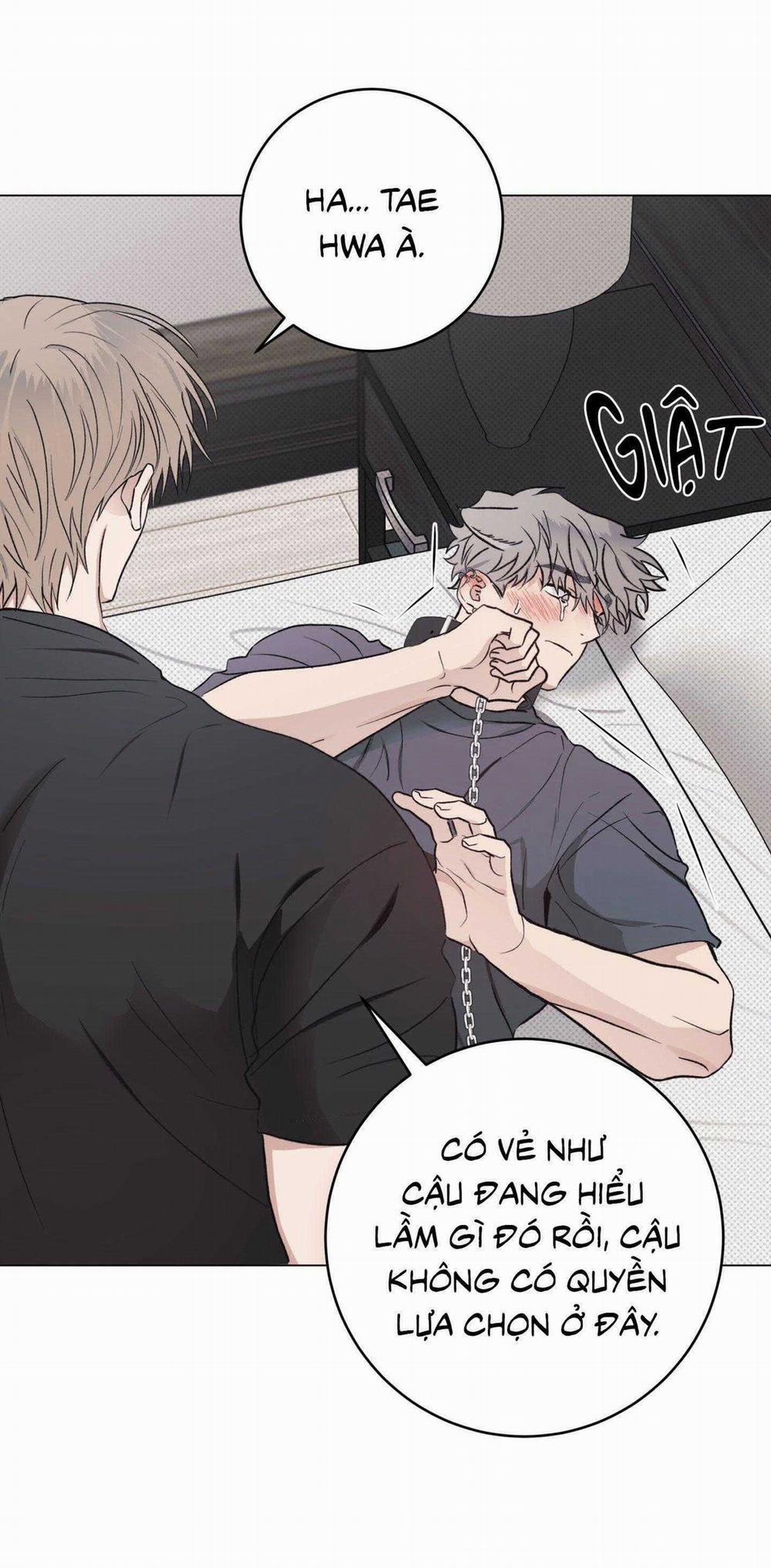 Nhật Ký Nuôi Dưỡng Sói Hoang 9 trang 55