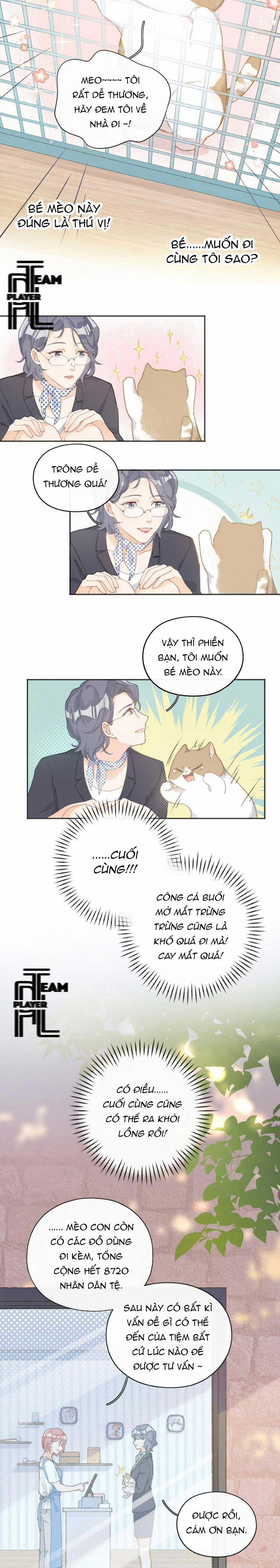 Nhật Ký Phục Thù Của Mèo Garfield 1 trang 14