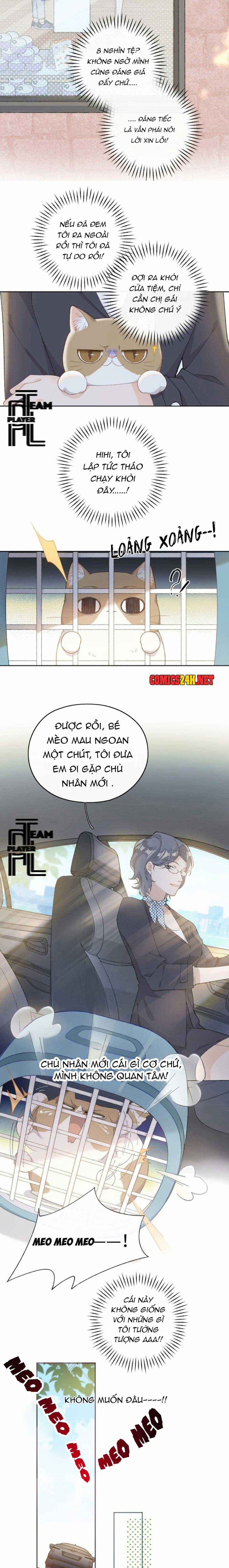 Nhật Ký Phục Thù Của Mèo Garfield 1 trang 15