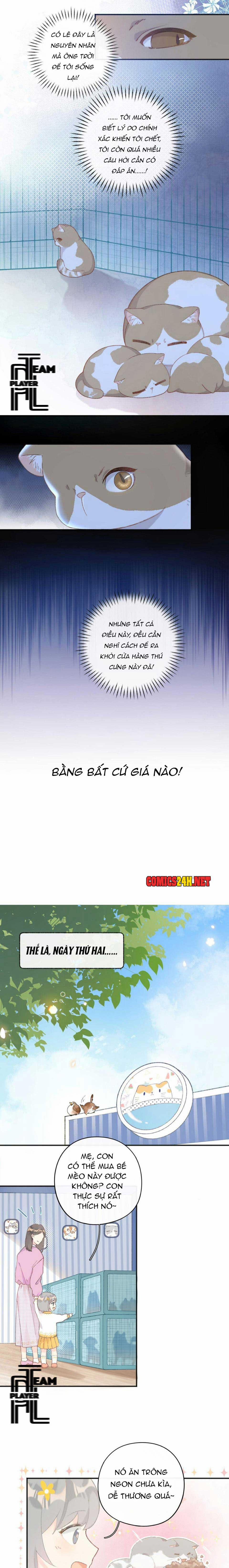 Nhật Ký Phục Thù Của Mèo Garfield 1 trang 8