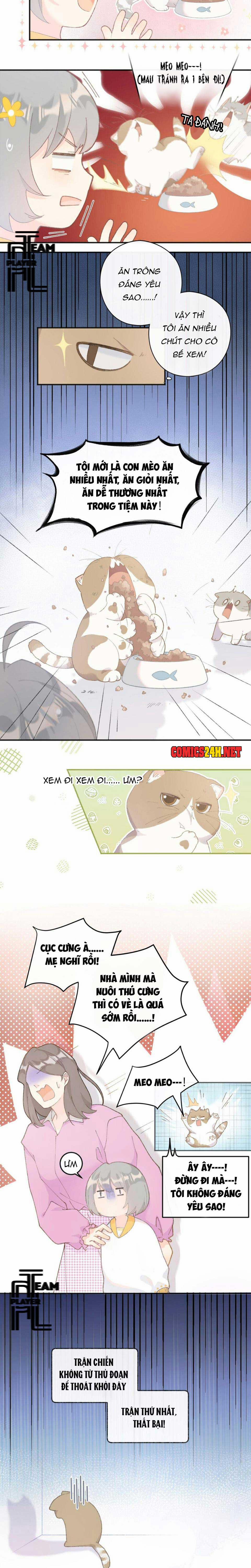 Nhật Ký Phục Thù Của Mèo Garfield 1 trang 9