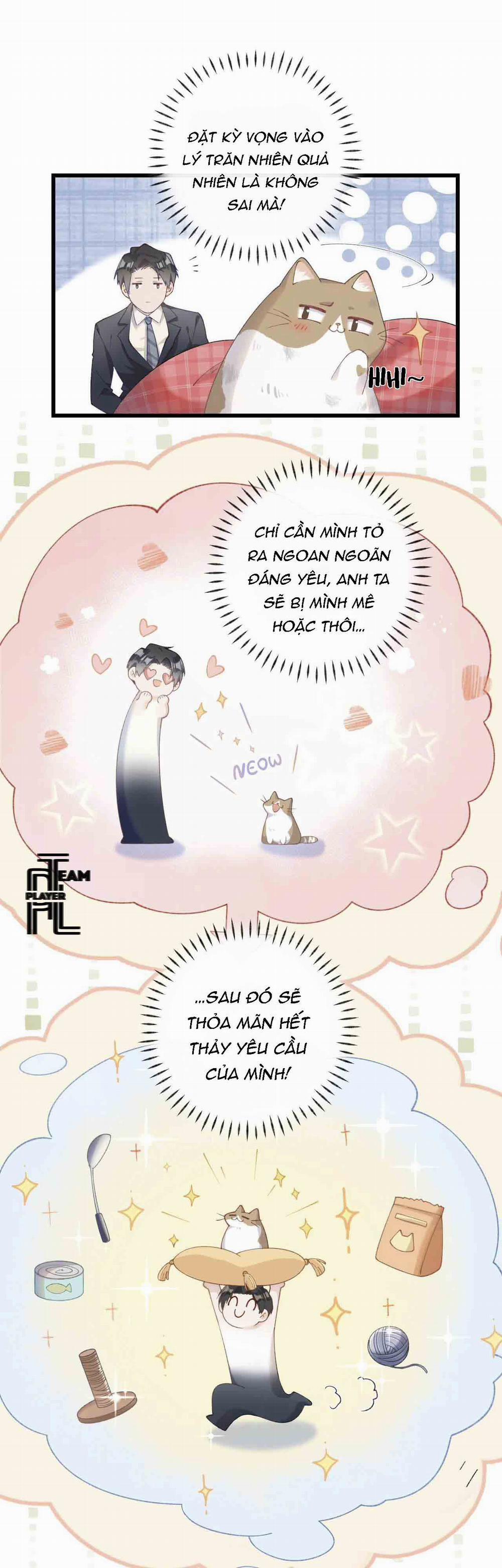 Nhật Ký Phục Thù Của Mèo Garfield 10 trang 17