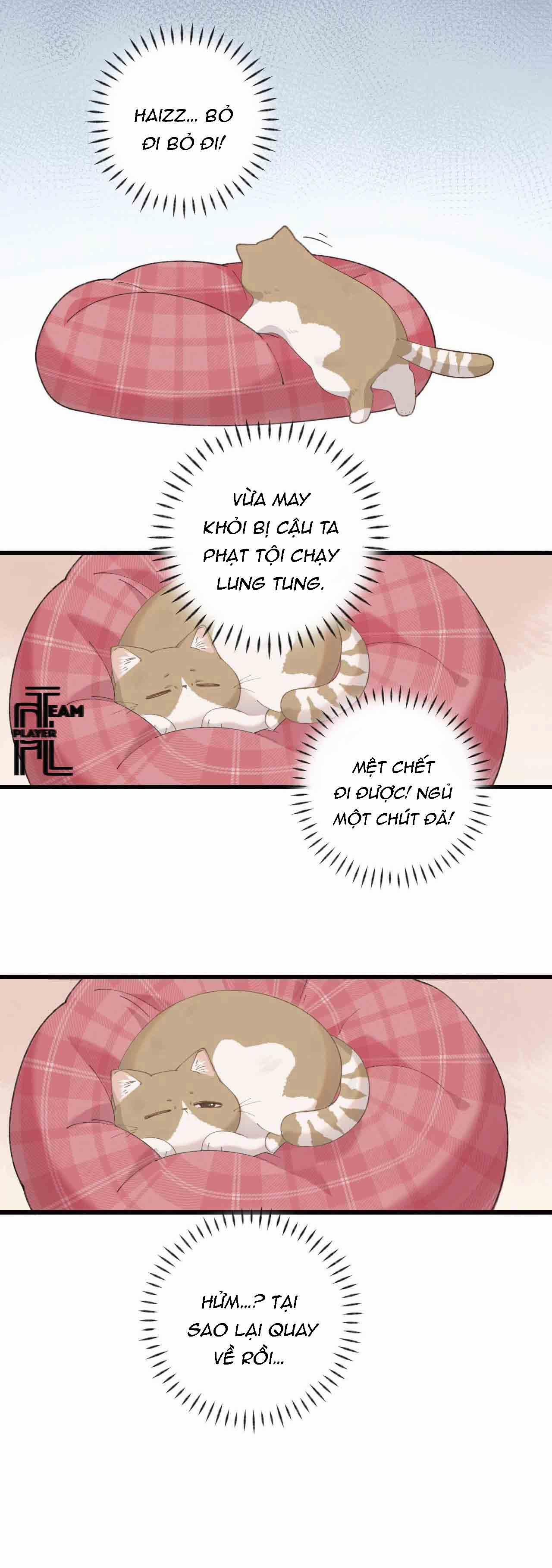 Nhật Ký Phục Thù Của Mèo Garfield 10 trang 9