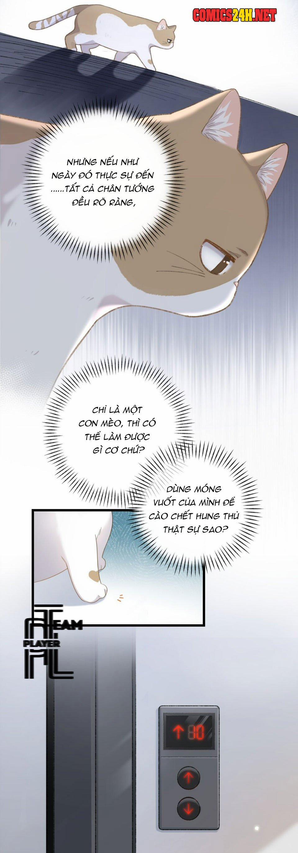 Nhật Ký Phục Thù Của Mèo Garfield 3 trang 10