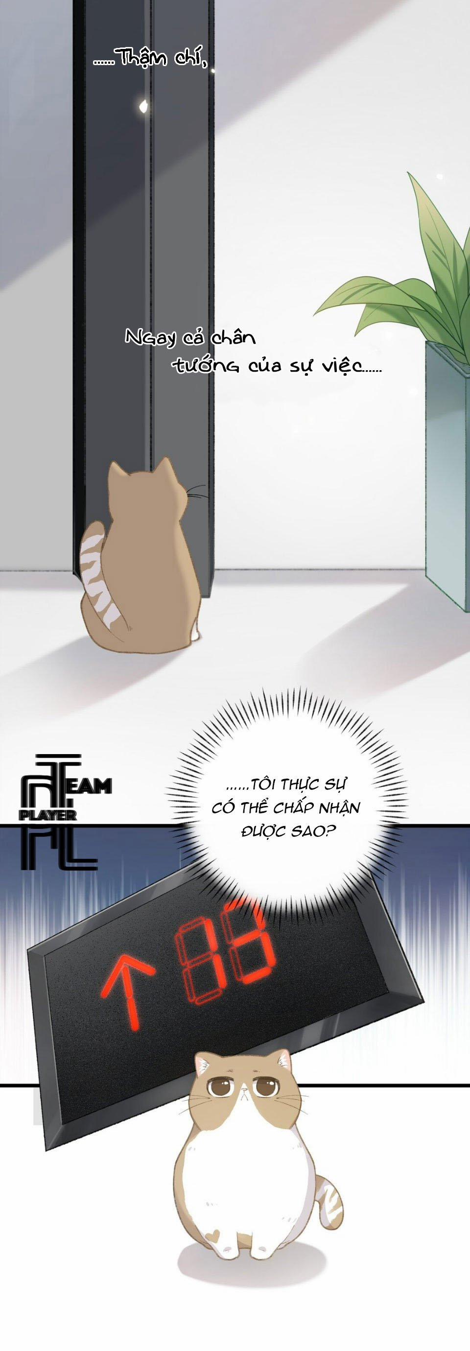 Nhật Ký Phục Thù Của Mèo Garfield 3 trang 11