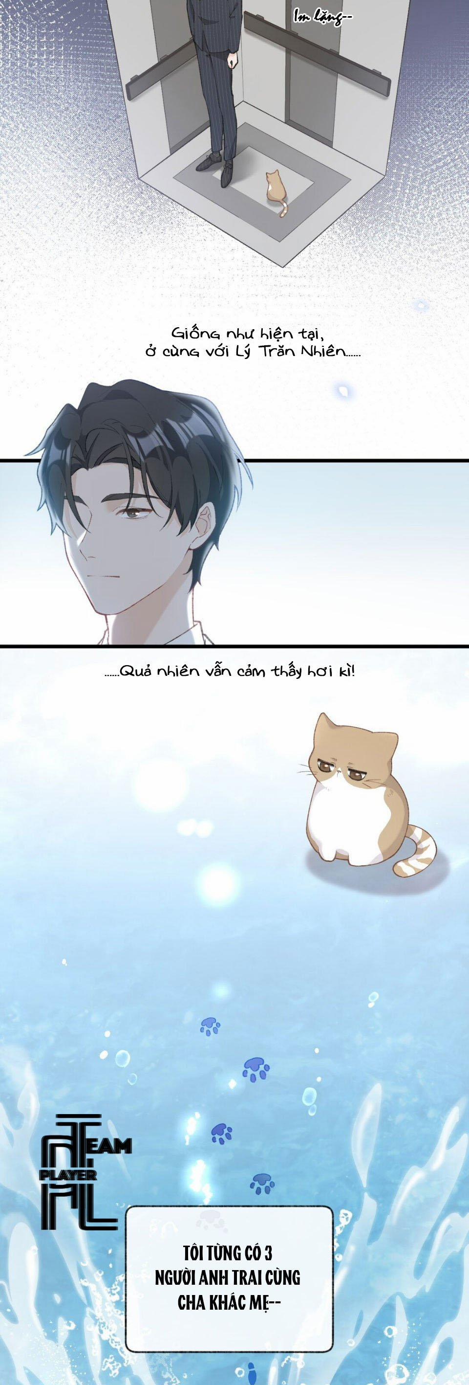 Nhật Ký Phục Thù Của Mèo Garfield 3 trang 21